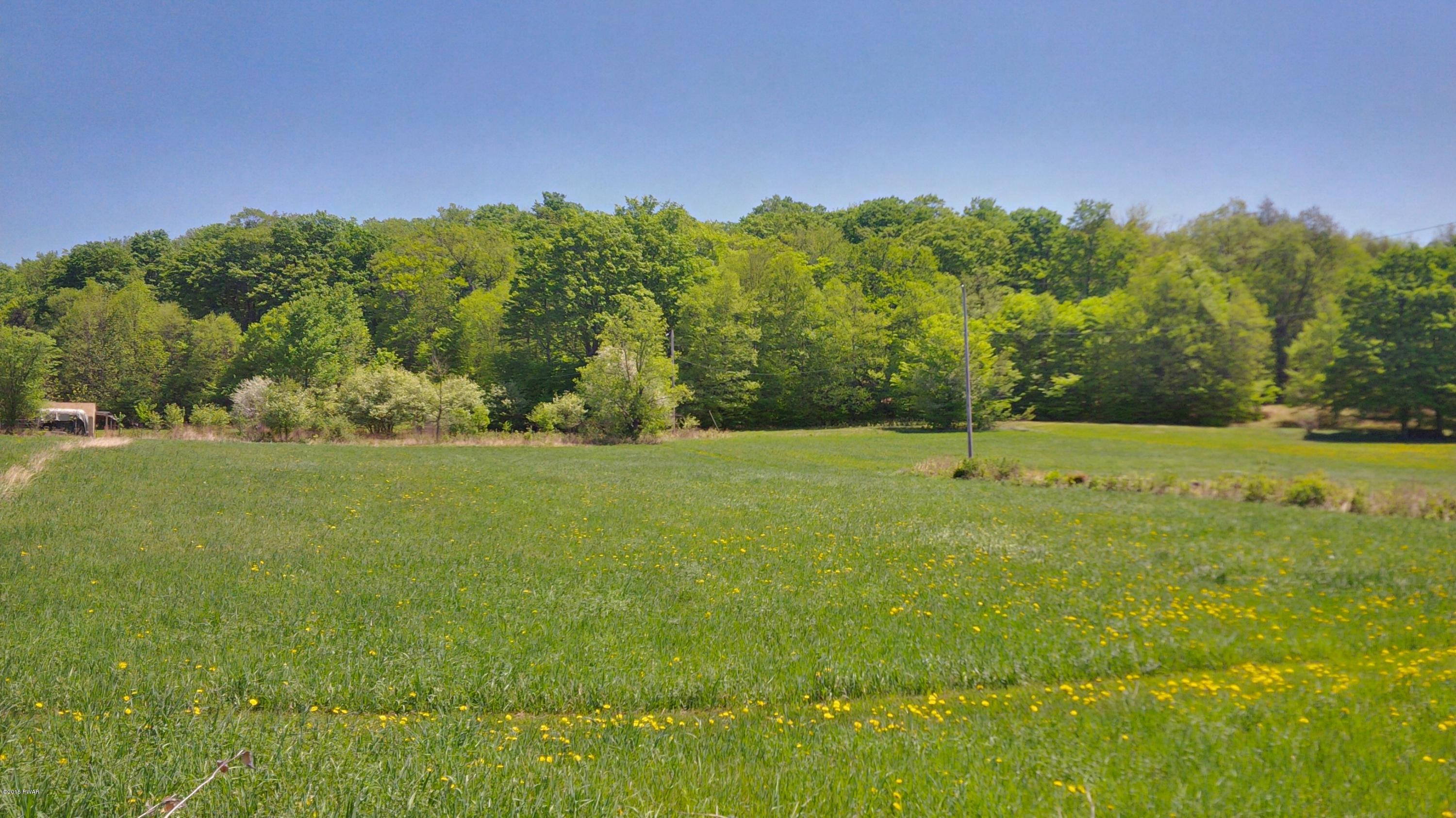 Westcott Road Tyler Hill, PA 18469 - Photo 1 of 6