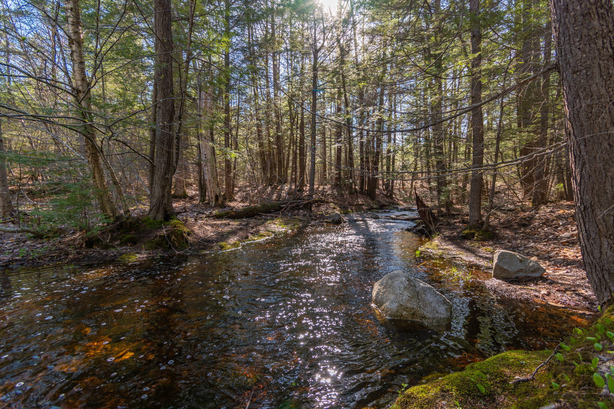 1 Cottage Road Gray, ME 04039 - Photo 5 of 8 5-Cottage-Road-Forest lake