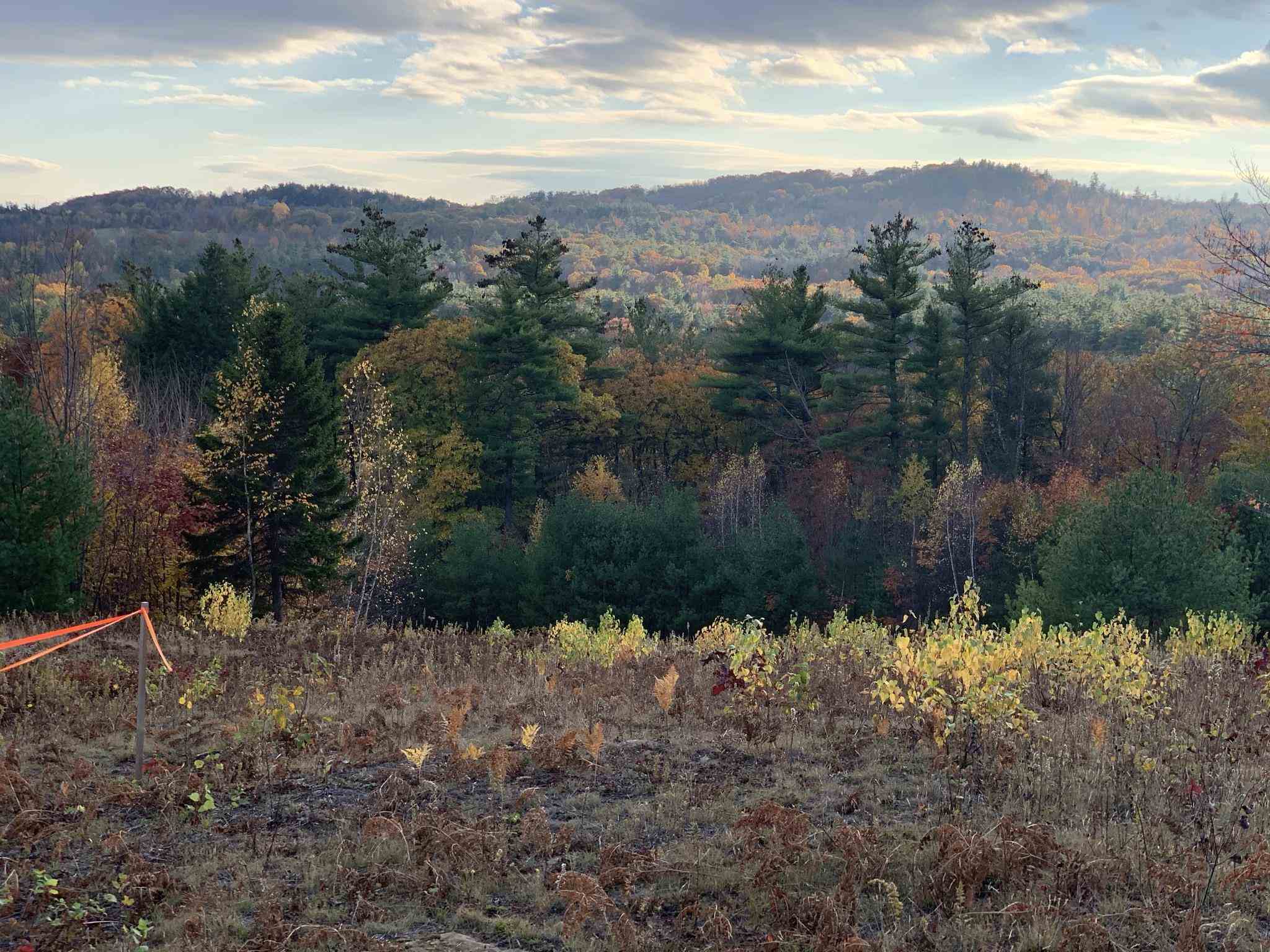 0 Stonegate Farm Road Temple, NH 03084 - Photo 23 of 28