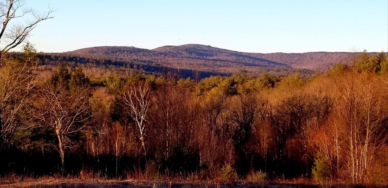 0 Stonegate Farm Road Temple, NH 03084 - Photo 26 of 28