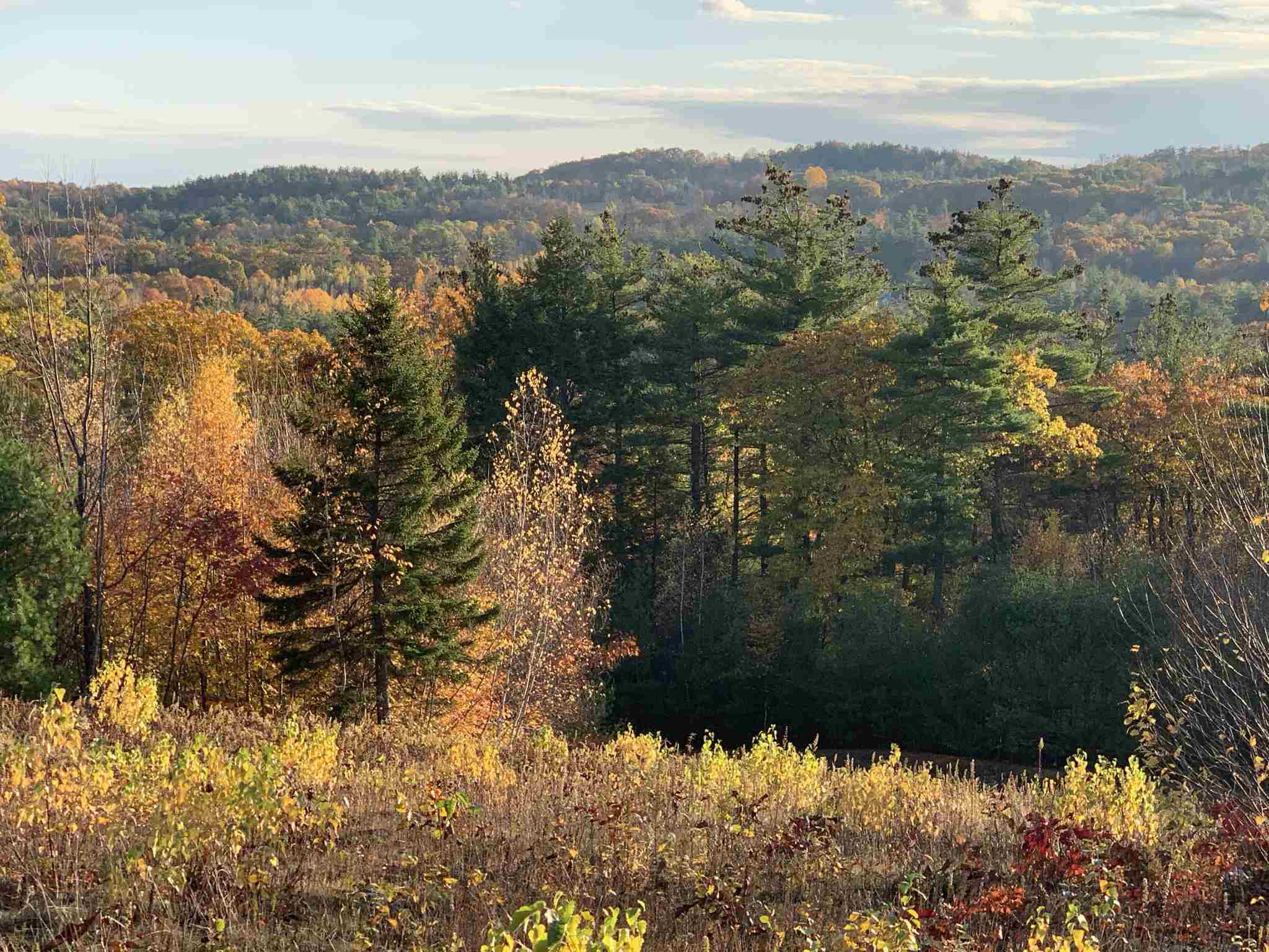 0 Stonegate Farm Road Temple, NH 03084 - Photo 6 of 28