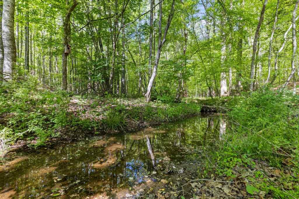 5040 Bird Road Gainesville, GA 30506 - Photo 45 of 52