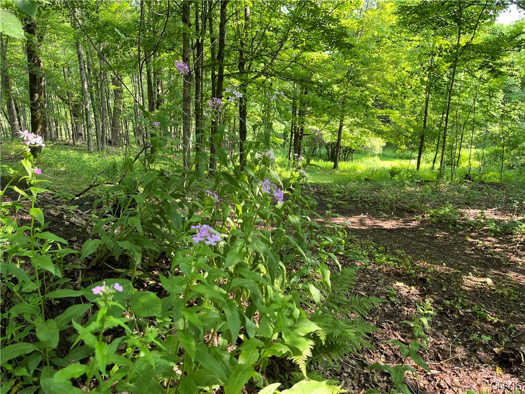 847 Jordanville Road Columbia, NY 13357 - Photo 26 of 48