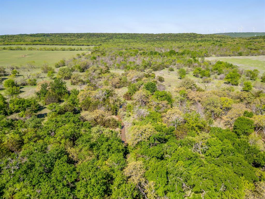 Tbd Teague Road Jacksboro, TX 76458 - Photo 23 of 33