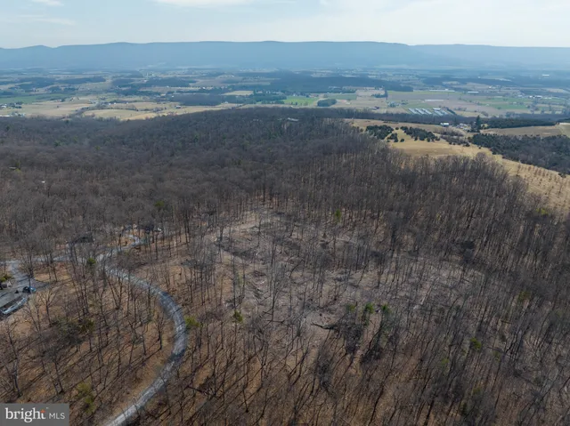 a view of beach and ocean