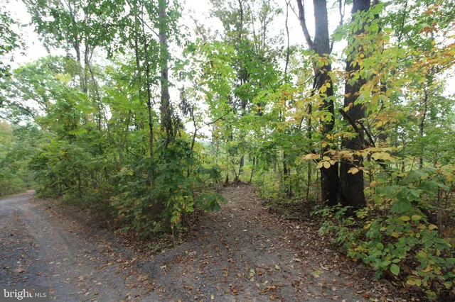 $47,500 | 0 Hilltop / Mockingbird Ln Mount, Mount Jackson, VA 22842