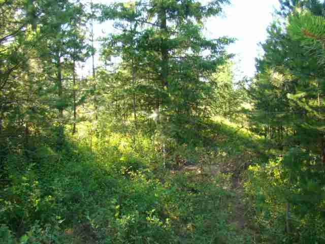 41 Rumsey Road Newport, WA 99156 - Photo 1 of 5 Gallery Image 1