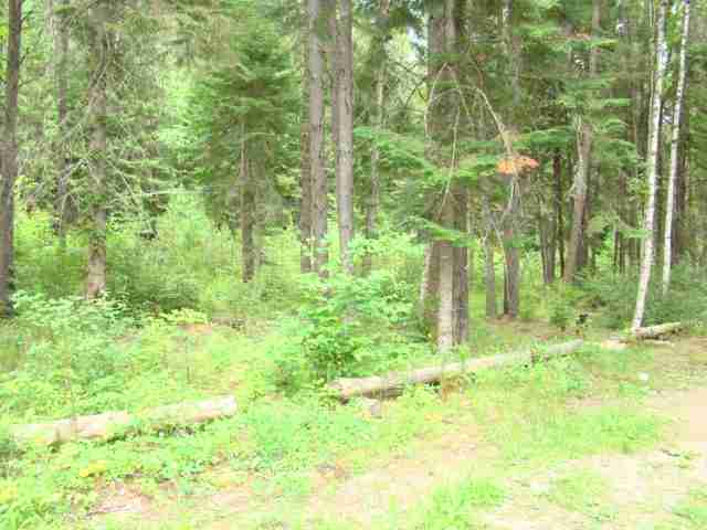 41 Rumsey Road Newport, WA 99156 - Photo 3 of 5 Gallery Image 3