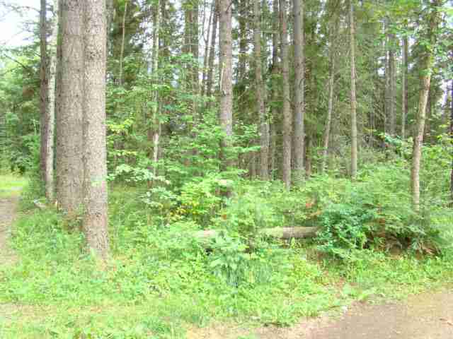 41 Rumsey Road Newport, WA 99156 - Photo 5 of 5 Gallery Image 5