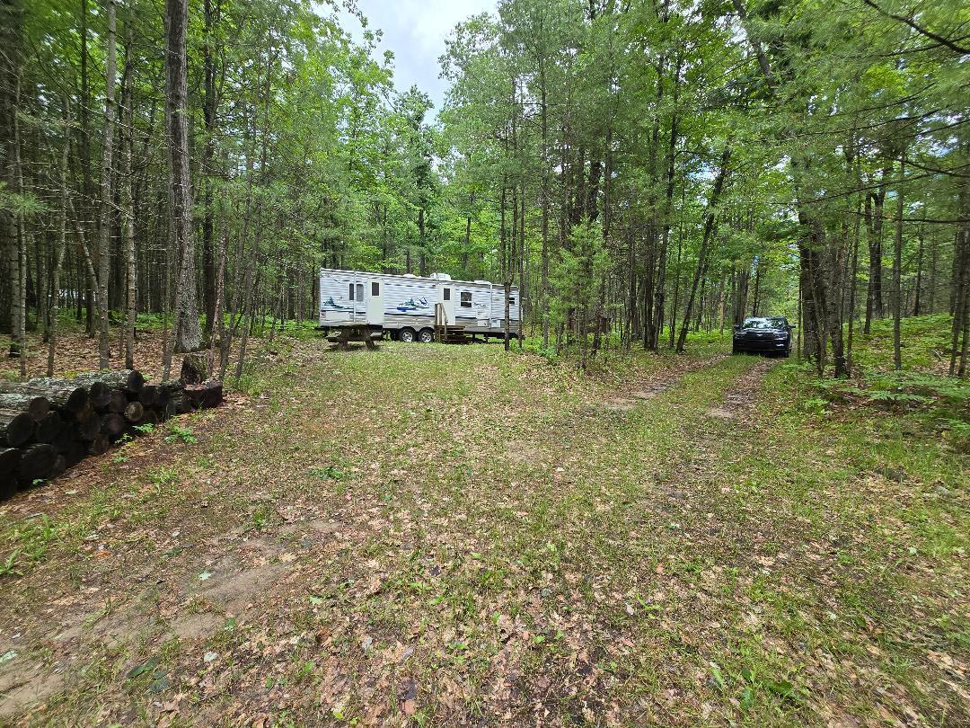 8826 Lake May Road Hawks, MI 49743 - Photo 16 of 20 Gallery Image 16