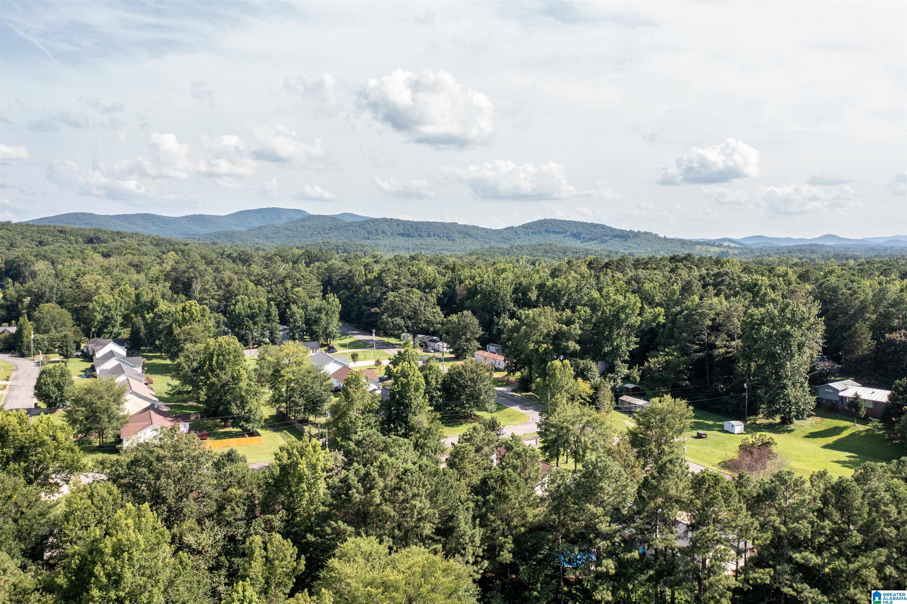 1007 Groves Pass Jacksonville, AL 36265 - Photo 4 of 24
