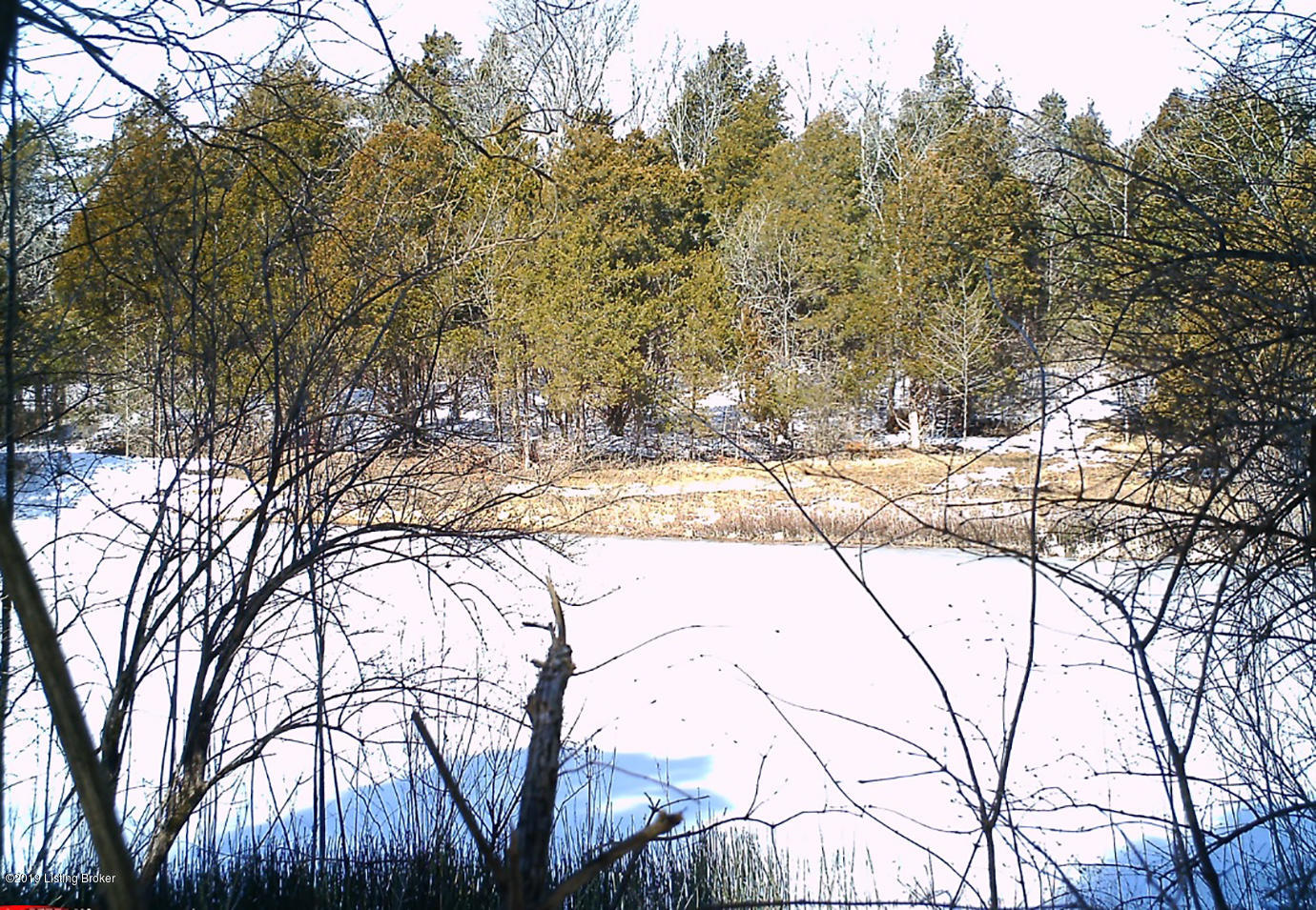 6017 Chenoweth Run Road Louisville, KY 40299 - Photo 6 of 12 pond when snow pic 4