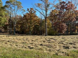 Tract B&c Country Ridge Road Bassett, VA 24055 - Photo 4 of 5 a view of a yard with trees