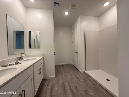 a bathroom with a sink a large mirror and a shower