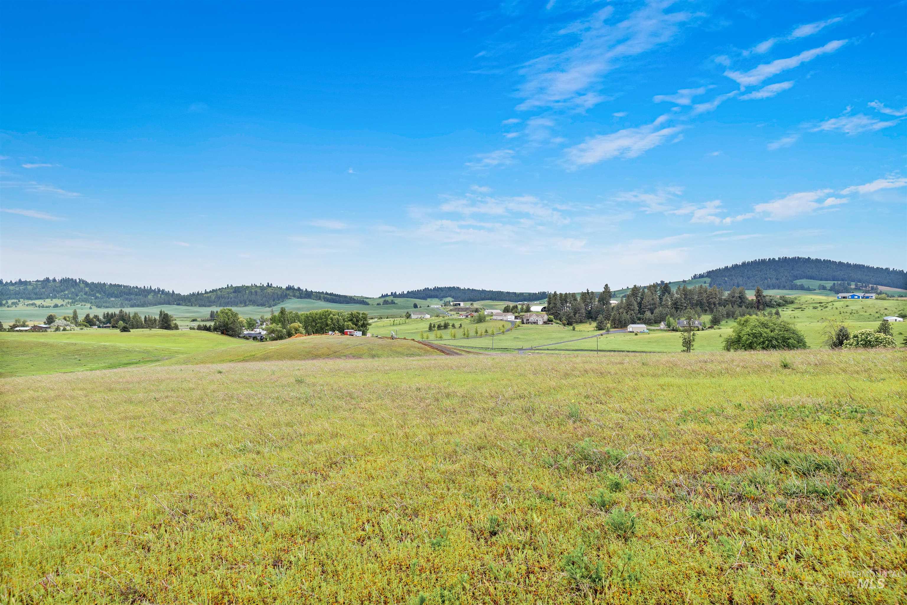 Tbd Reams Road Moscow, ID 83843 - Photo 19 of 20