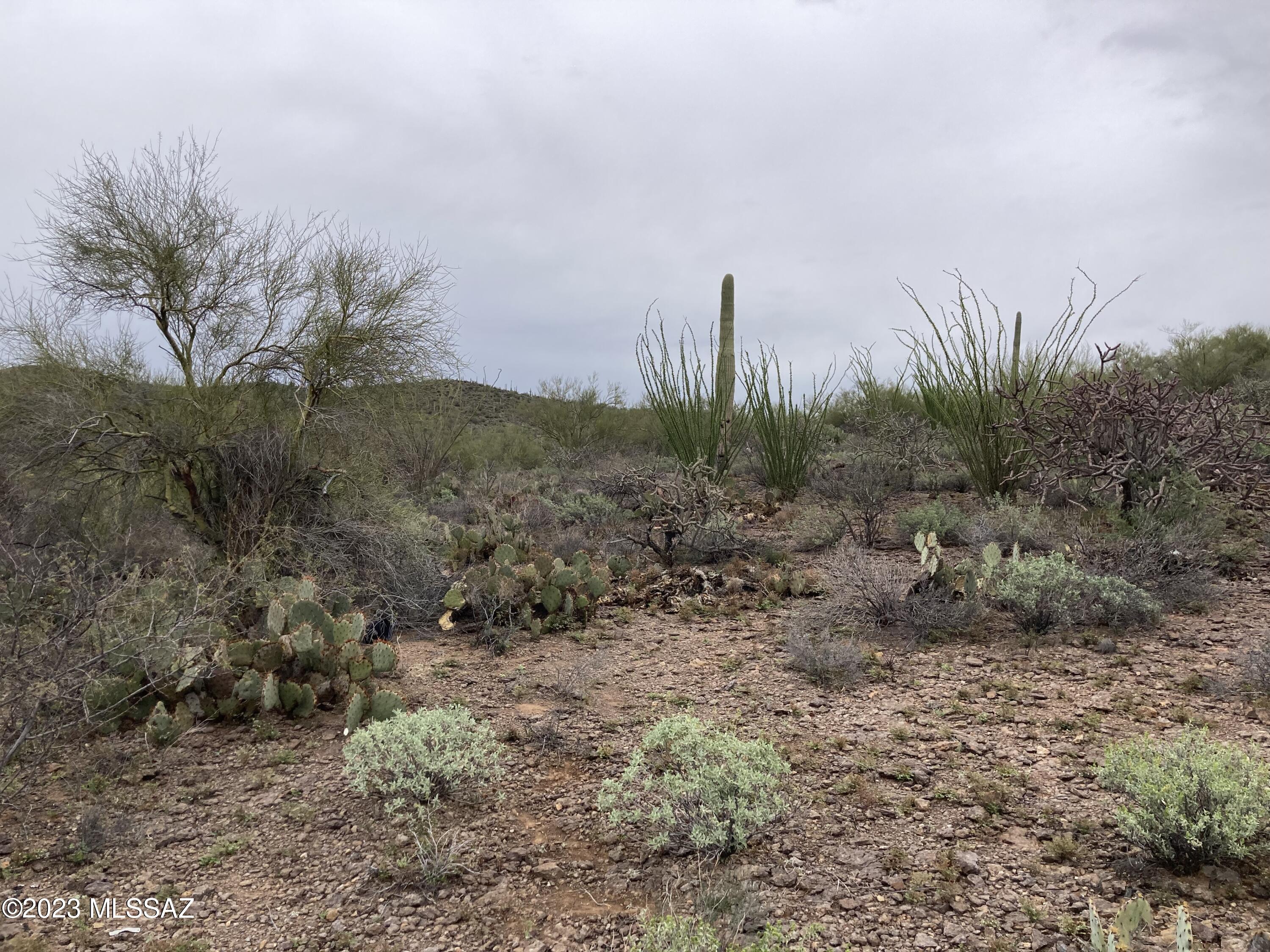 4450 South Century Road Tucson, AZ 85746 - Photo 4 of 6 Gallery Image 4