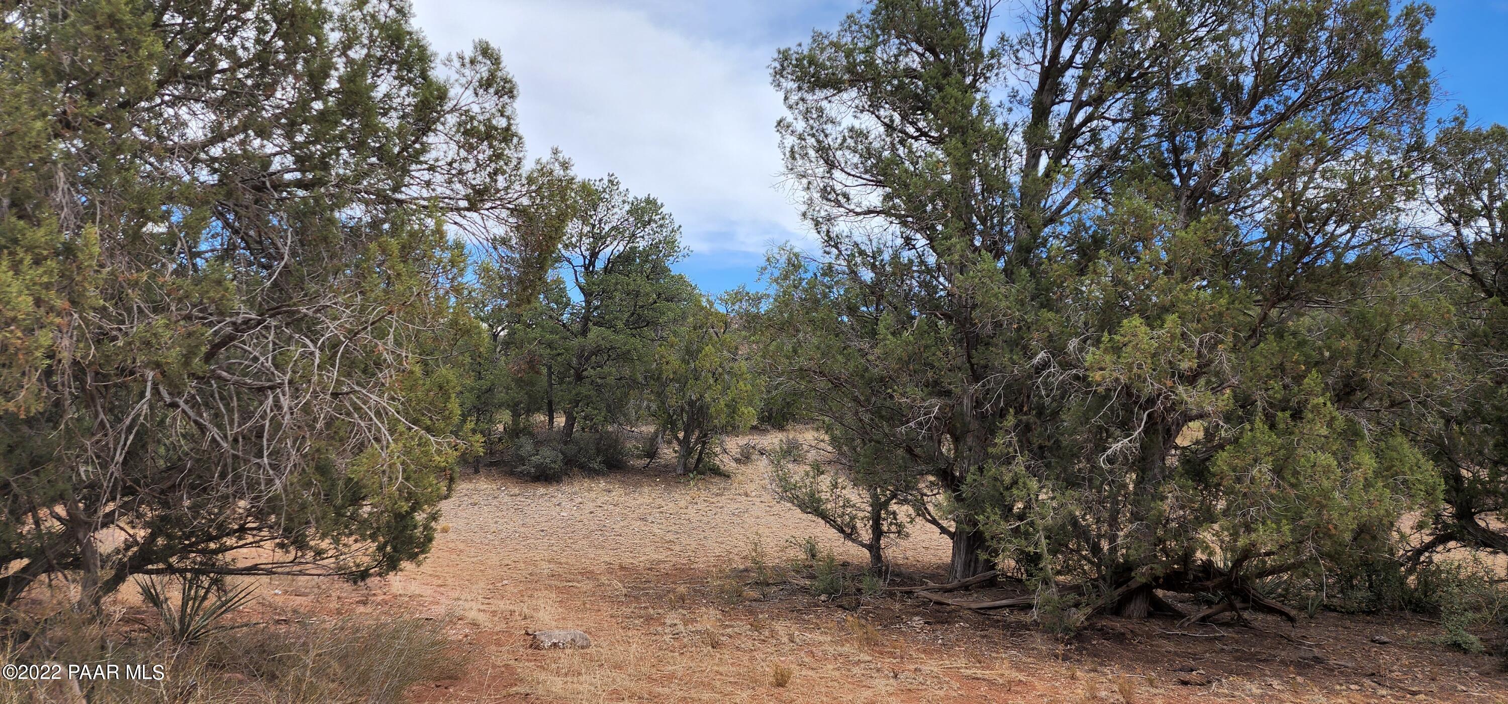 286 Ridgeview Drive Williams, AZ 86046 - Photo 3 of 4 20220629_125547