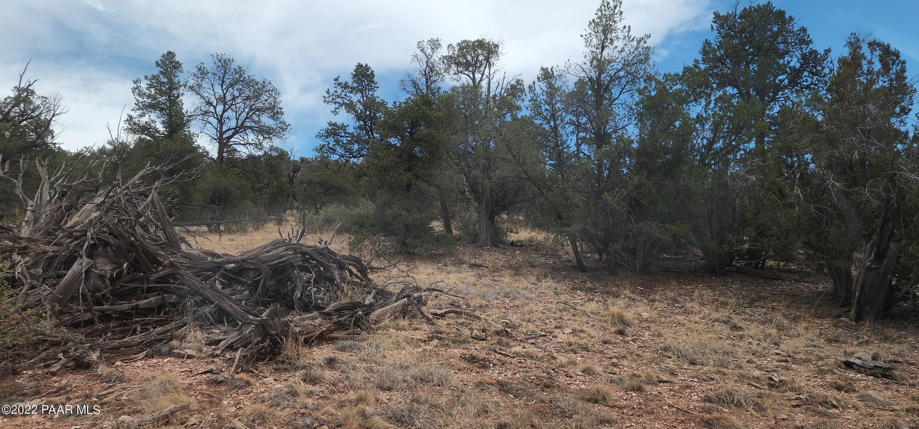 286 Ridgeview Drive Williams, AZ 86046 - Photo 4 of 4 20220629_125647