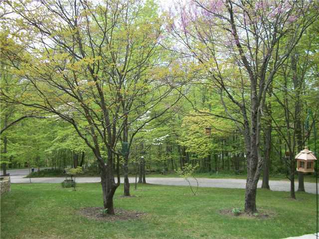 4529 Headleys Mill Road Southwest Pataskala, OH 43062 - Photo 5 of 14