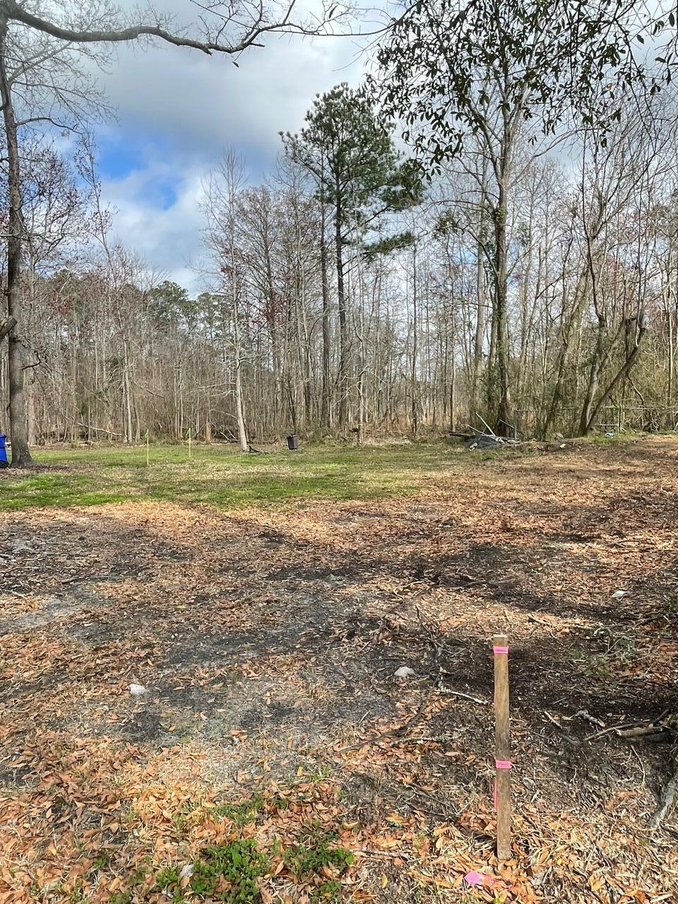 5728 Salters Hill Road Ravenel, SC 29470 - Photo 22 of 31 IMG_8012