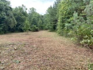 23.87-acre Rhea County Highway Spring City, TN 37381 - Photo 1 of 21 1