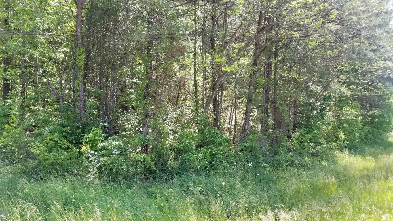 23.87-acre Rhea County Highway Spring City, TN 37381 - Photo 14 of 21 14