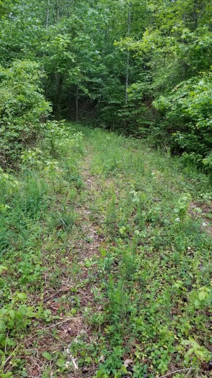 23.87-acre Rhea County Highway Spring City, TN 37381 - Photo 18 of 21 18