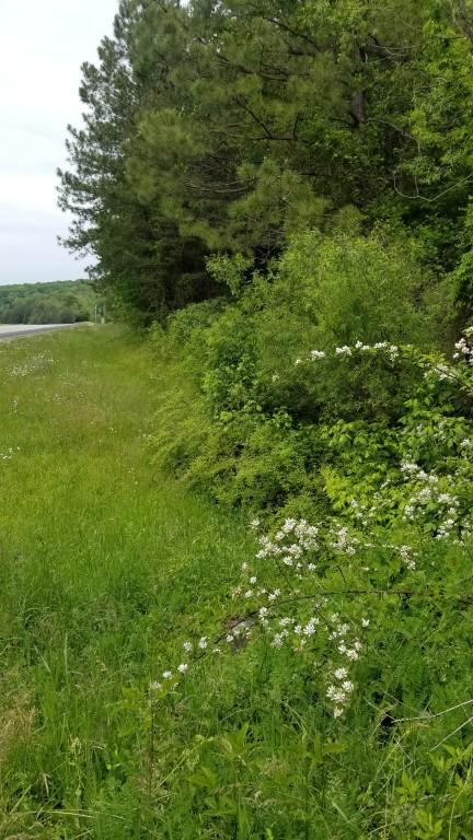 23.87-acre Rhea County Highway Spring City, TN 37381 - Photo 19 of 21 19