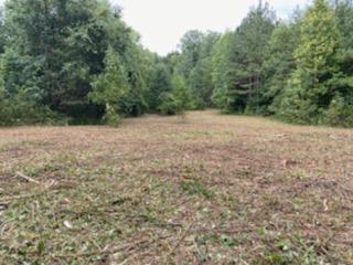 23.87-acre Rhea County Highway Spring City, TN 37381 - Photo 6 of 21 6