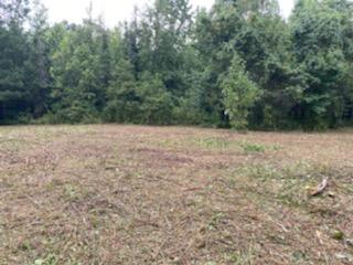 23.87-acre Rhea County Highway Spring City, TN 37381 - Photo 7 of 21 7