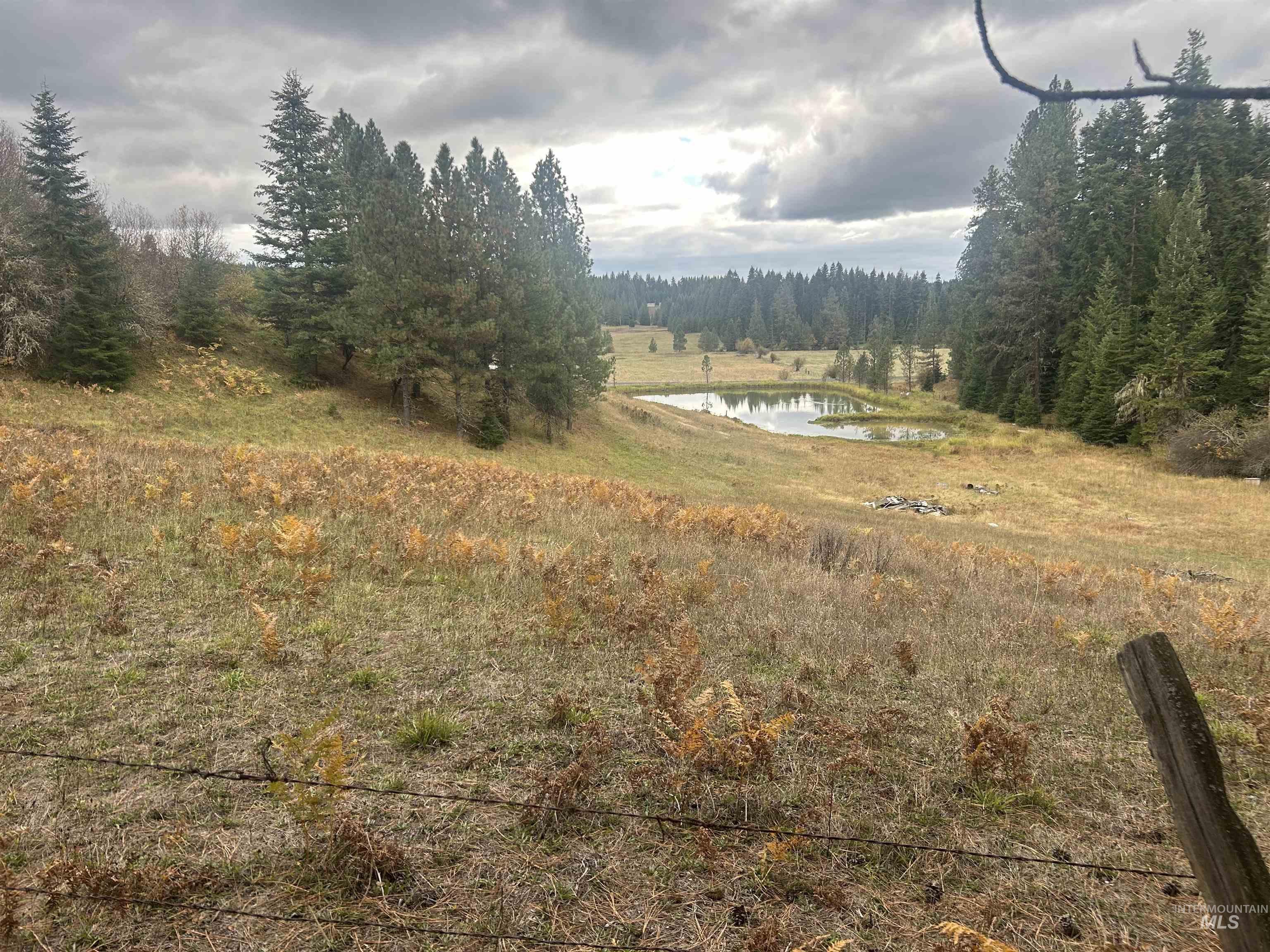 Tbd Lot 1 Tbd Road Kamiah, ID 83536 - Photo 3 of 16