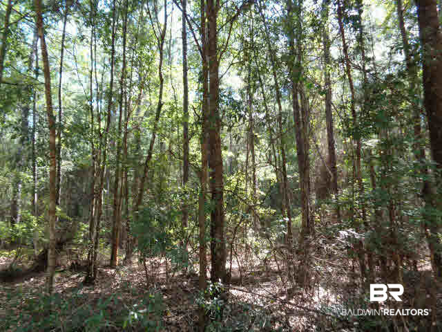 0 Blair Road Brewton, AL 36426 - Photo 4 of 5