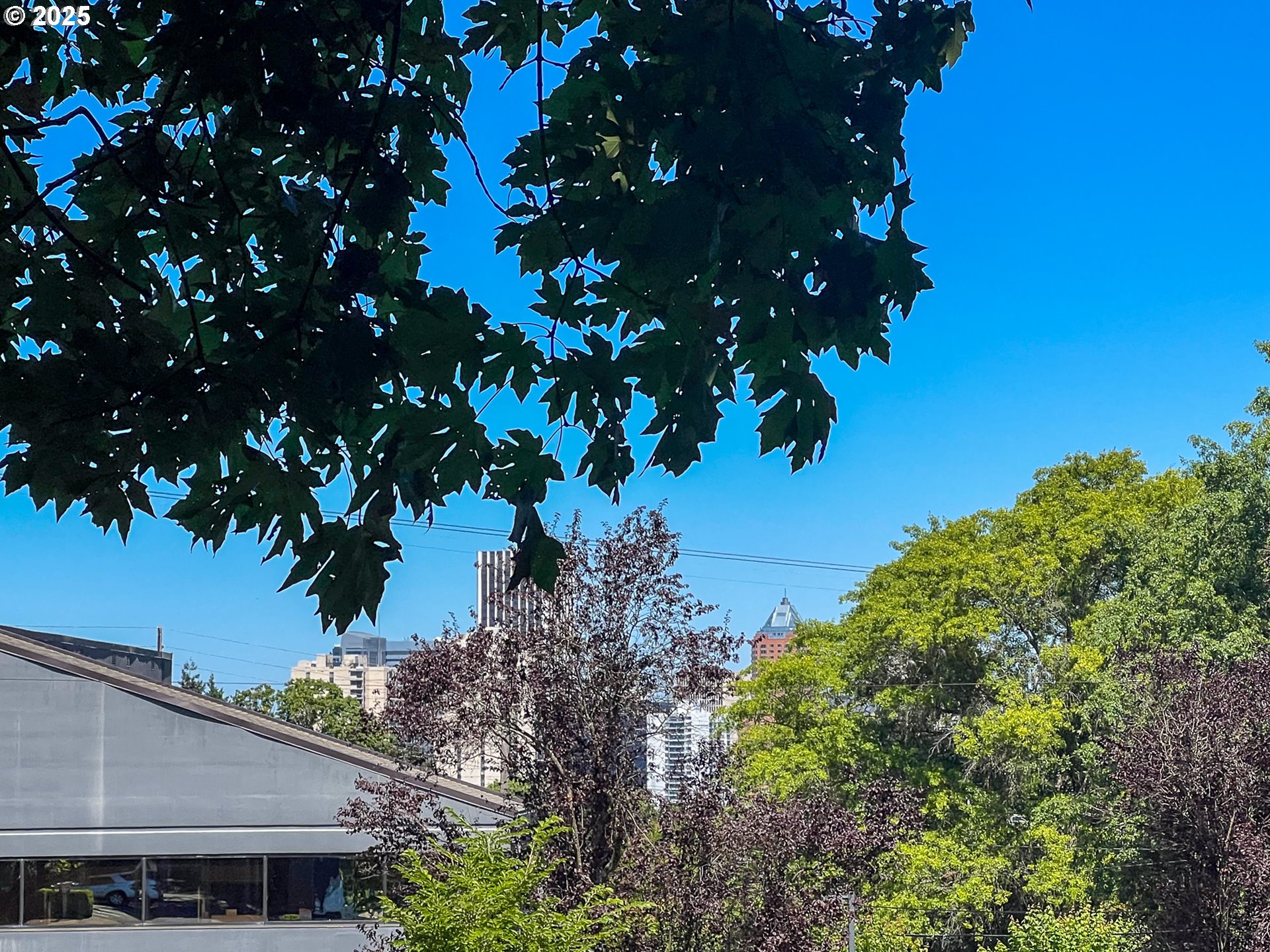 25 Southwest Abernethy Street Portland, OR 97239 - Photo 5 of 8