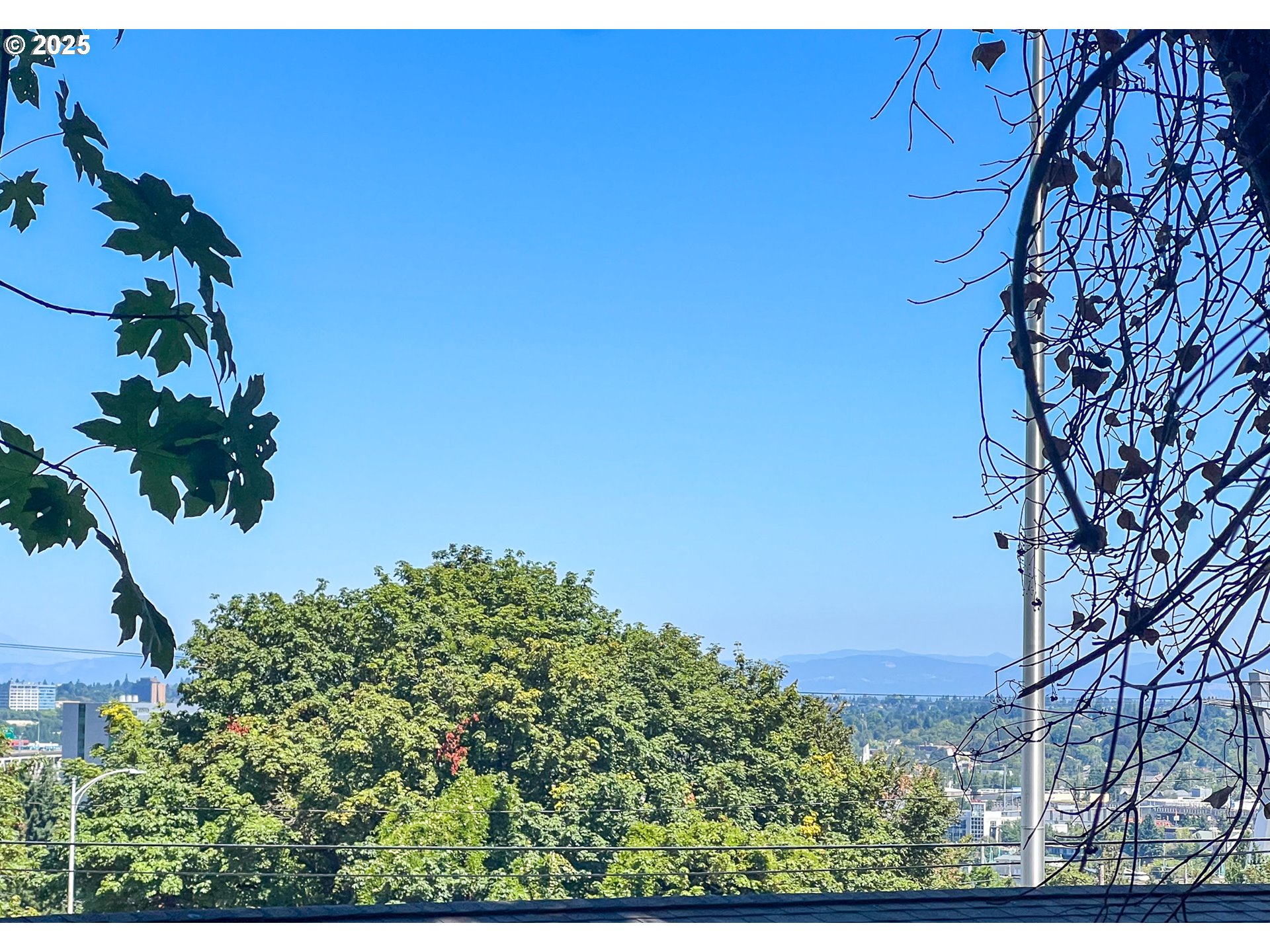 25 Southwest Abernethy Street Portland, OR 97239 - Photo 6 of 8