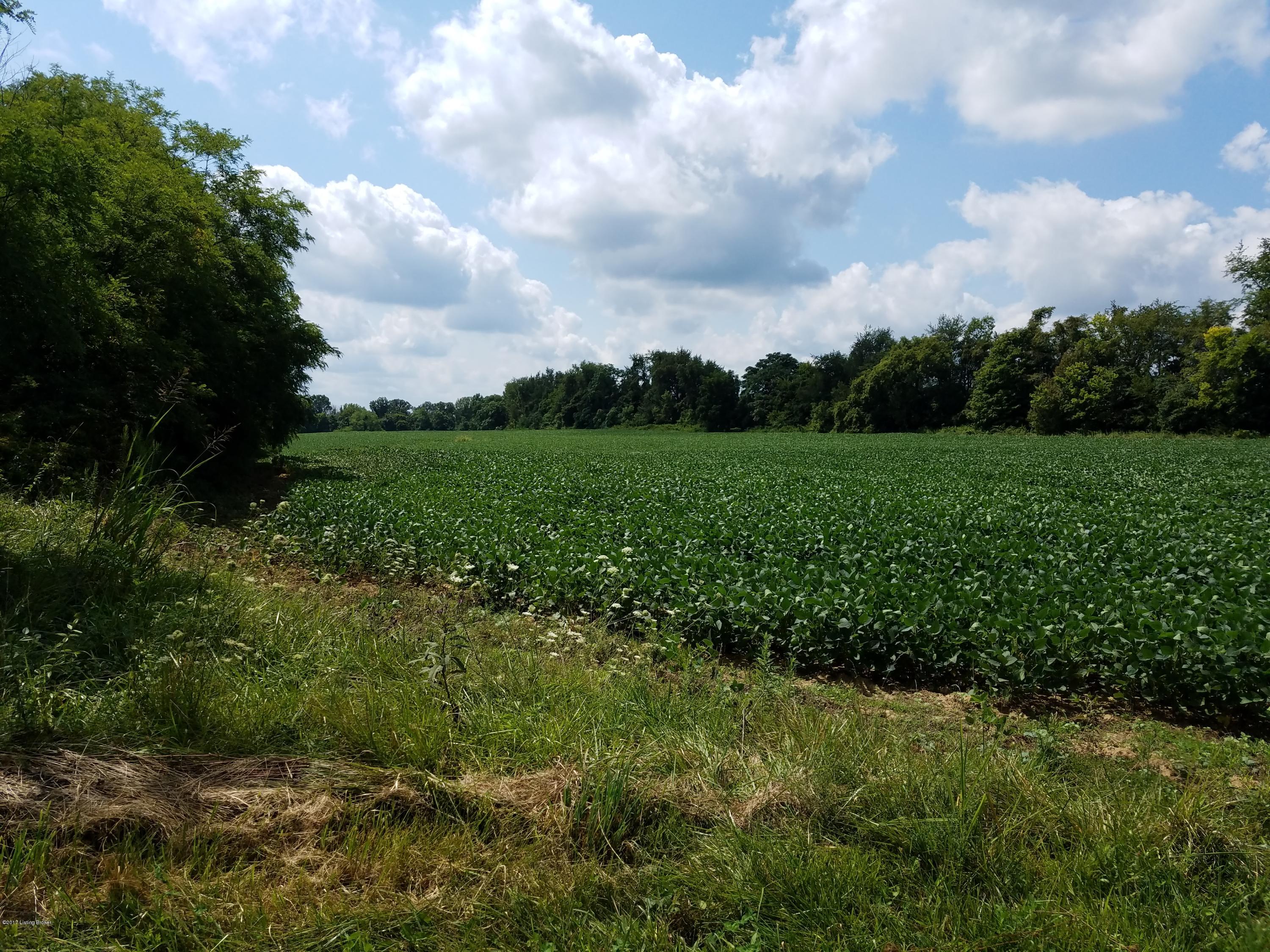 222 Powell Hill Road Milton, KY 40045 - Photo 3 of 27 03