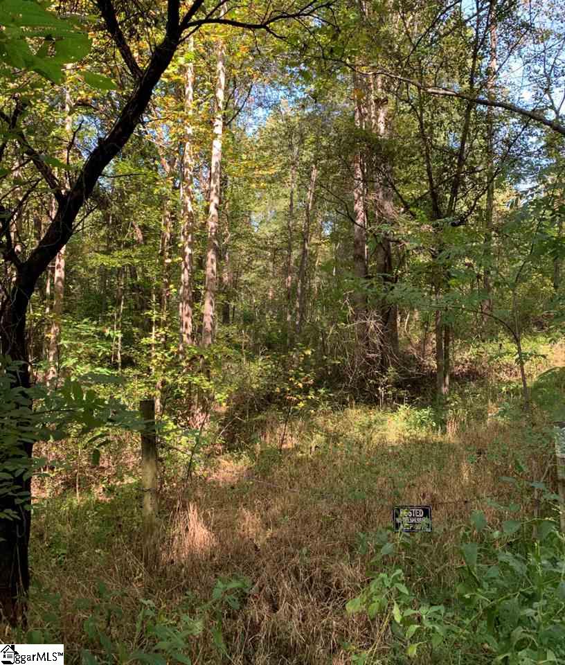 0 Joseph Road Chesnee, SC 29323 - Photo 2 of 4