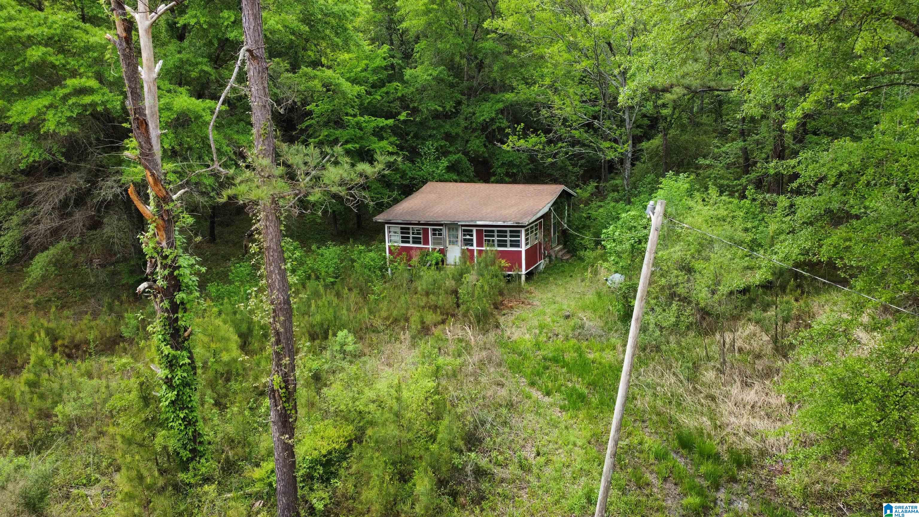0 County Road 44 Linden, AL 36748 - Photo 21 of 48