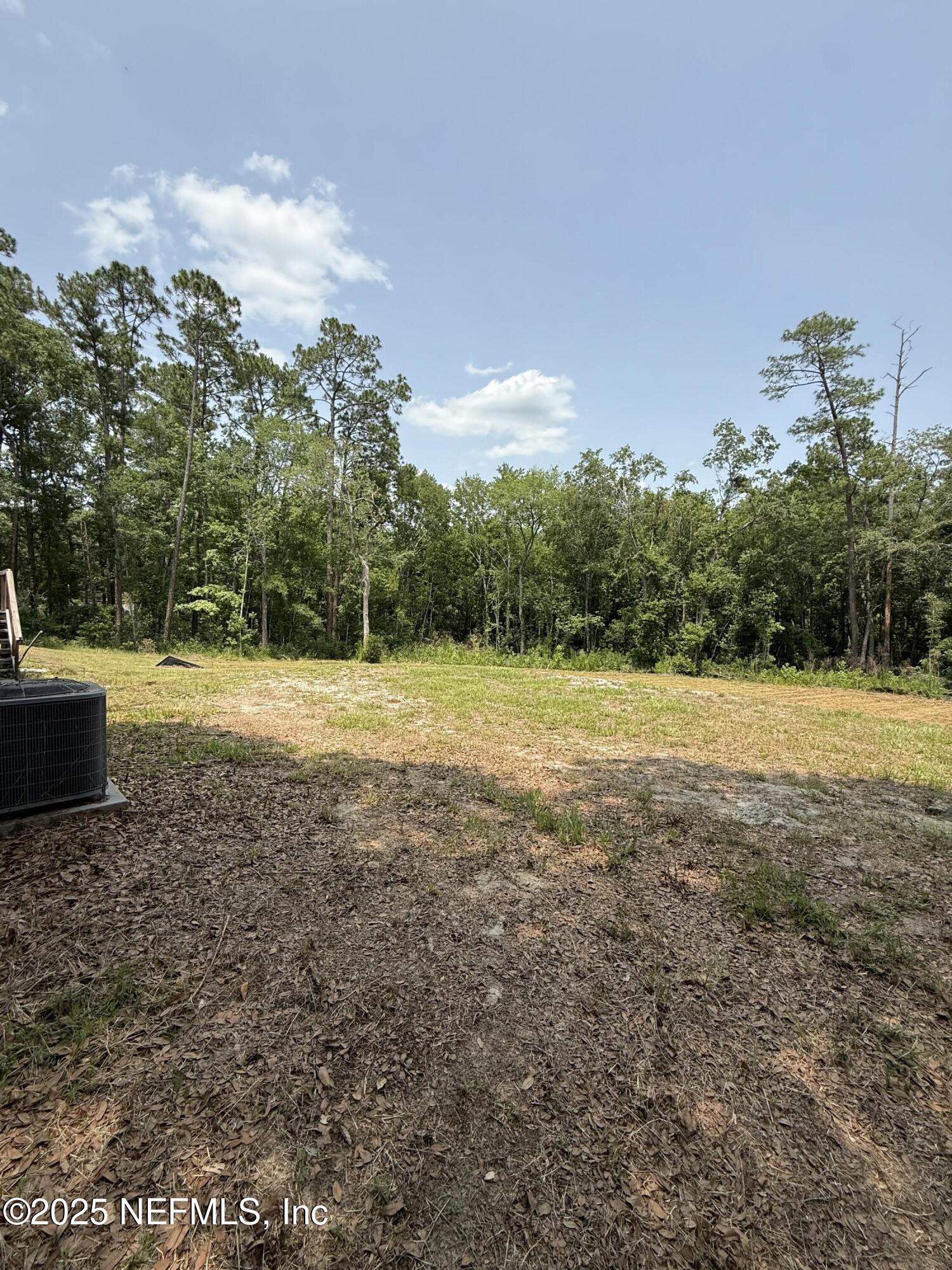 74 Conifer Circle Middleburg, FL 32068 - Photo 2 of 7 a view of outdoor space with trees
