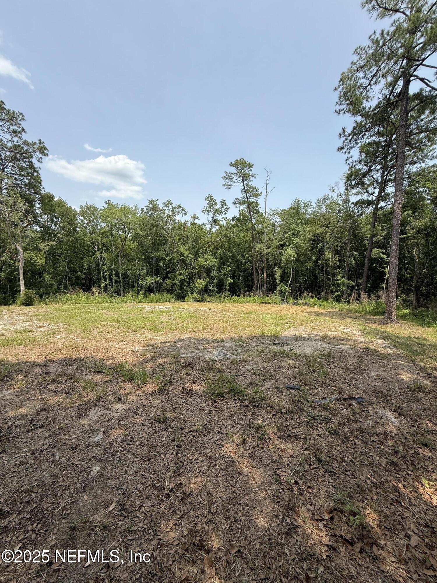 74 Conifer Circle Middleburg, FL 32068 - Photo 3 of 7 a view of a field with trees in the background