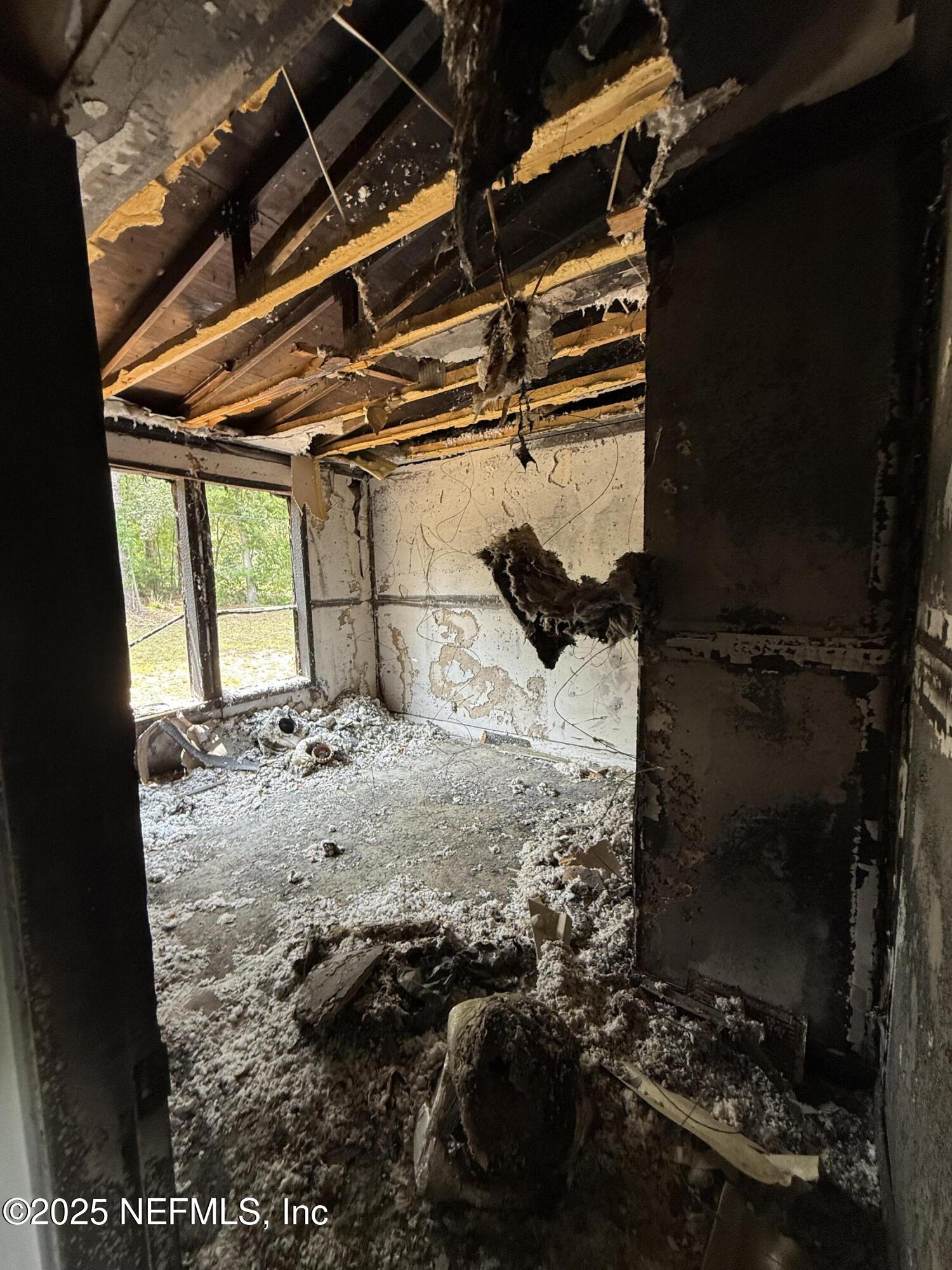 74 Conifer Circle Middleburg, FL 32068 - Photo 6 of 7 a view of a backyard of a house