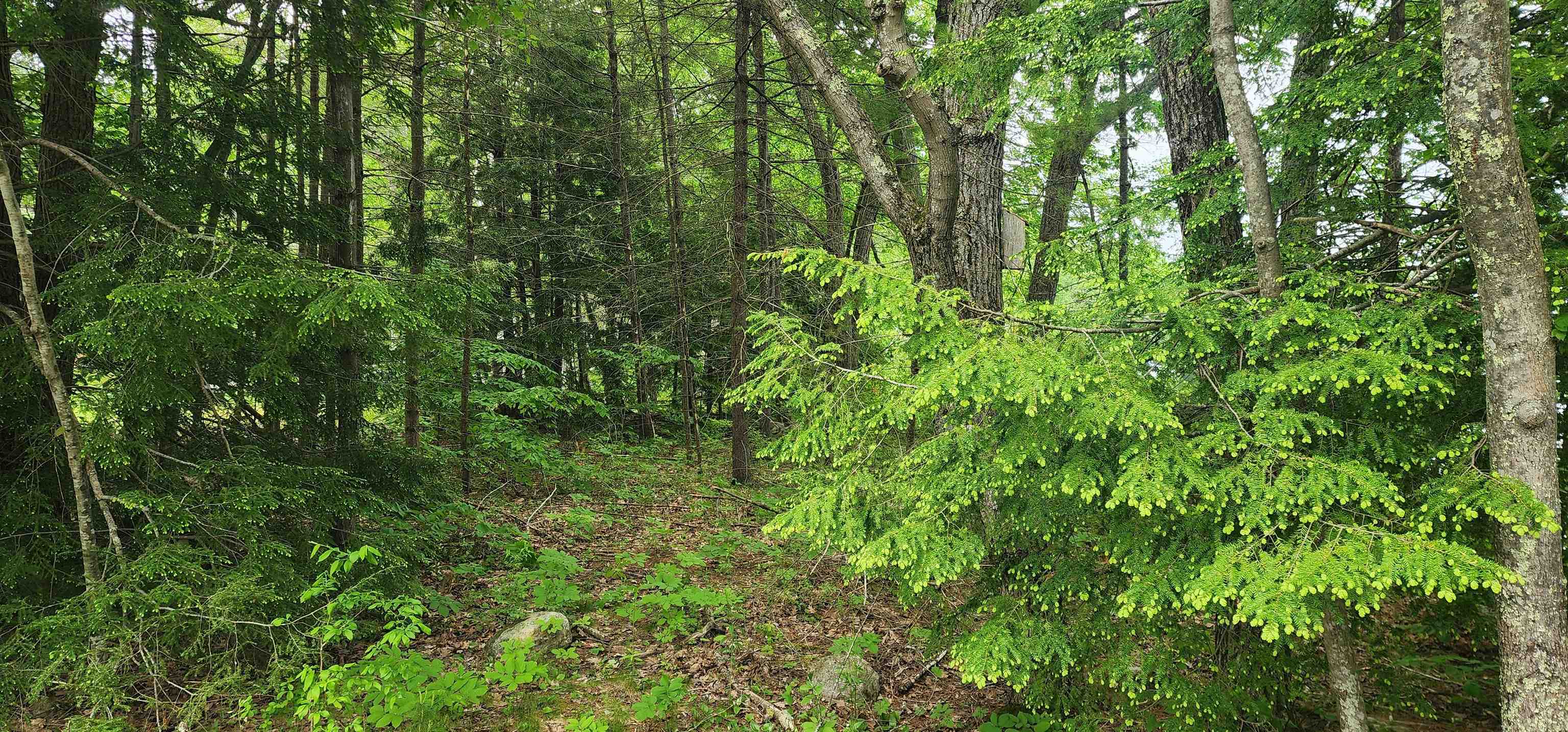 133-40 Youngs Ridge Road Acton, ME 04001 - Photo 4 of 5 Gallery Image 4