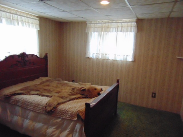 335 South Ithaca Street Ithaca, MI 48847 - Photo 22 of 28 1873017-21.JPG