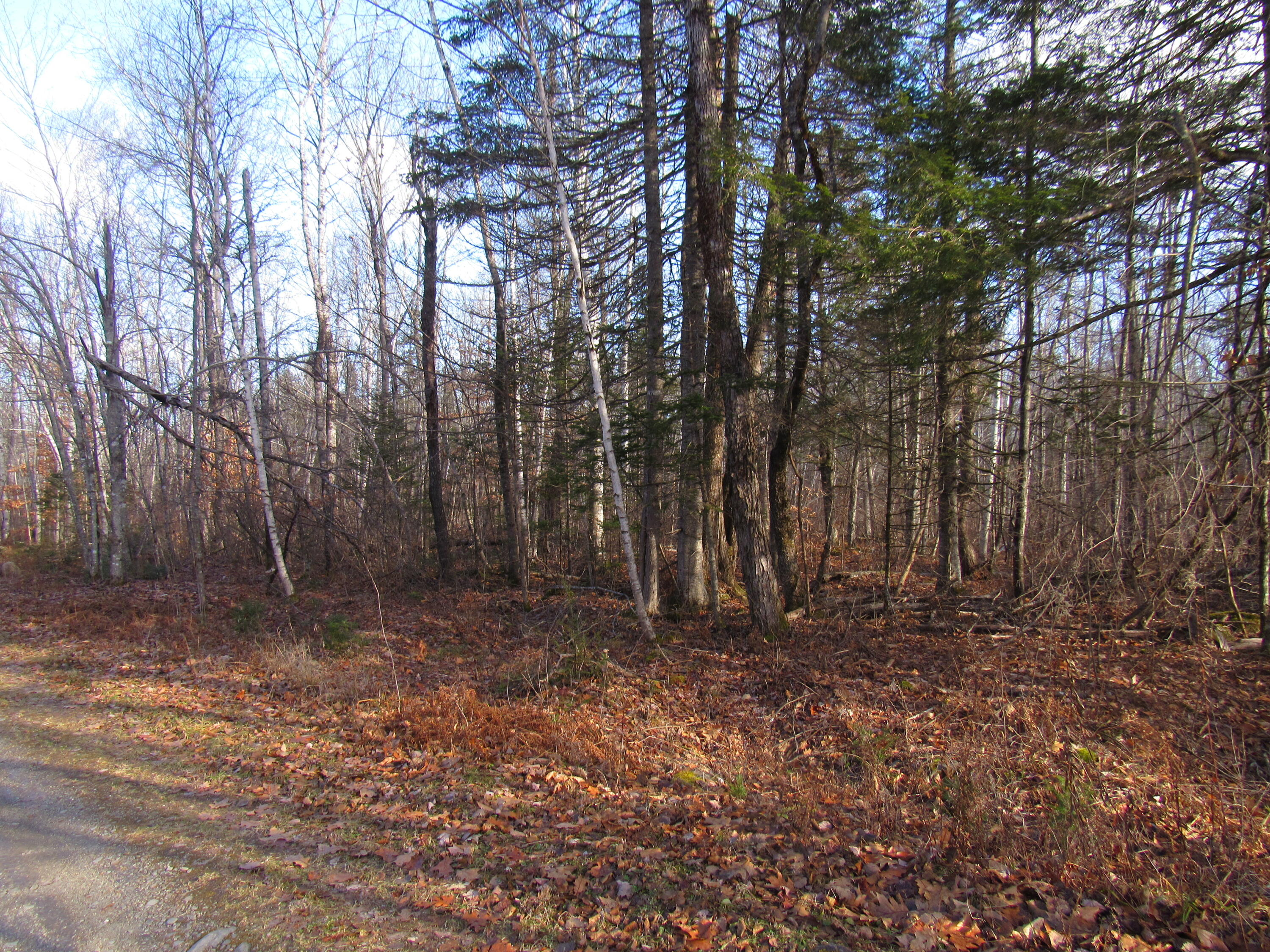 M7-l4 Meadow Road Corinth, ME 04427 - Photo 1 of 10 Imported Photos 00024