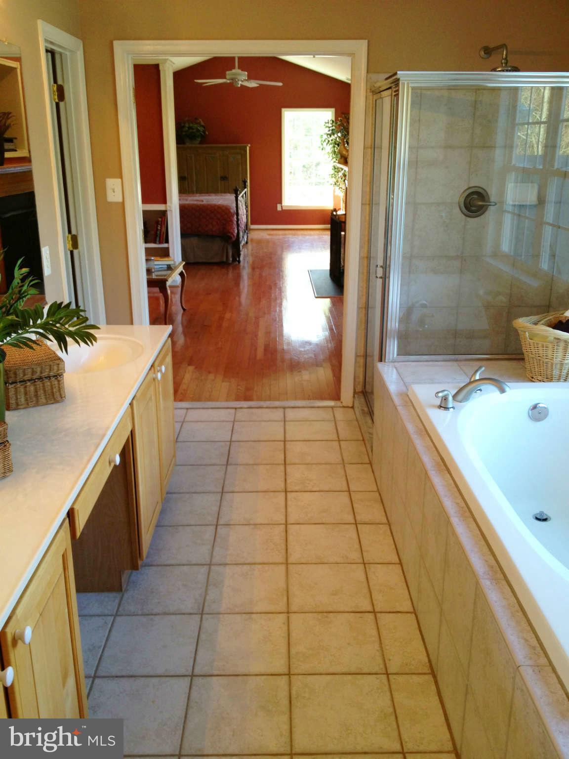24904 Frederick Road Clarksburg, MD 20871 - Photo 20 of 30 a bathroom with a tub a sink and a large mirror