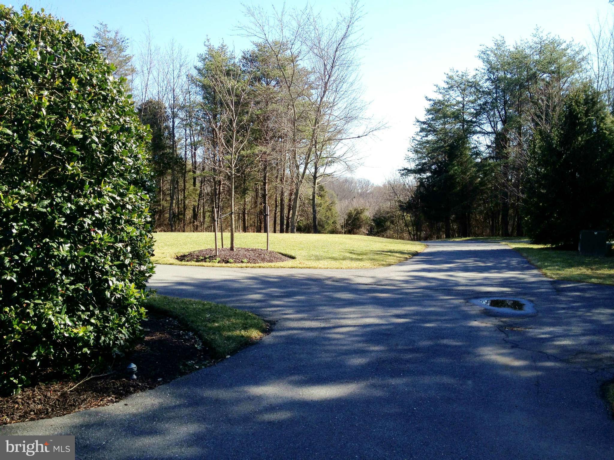 24904 Frederick Road Clarksburg, MD 20871 - Photo 29 of 30 a view of yard with tree