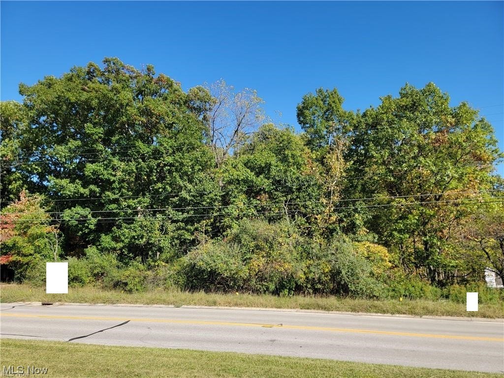 East Mill Road Broadview Heights, OH 44147 - Photo 2 of 17 View of street