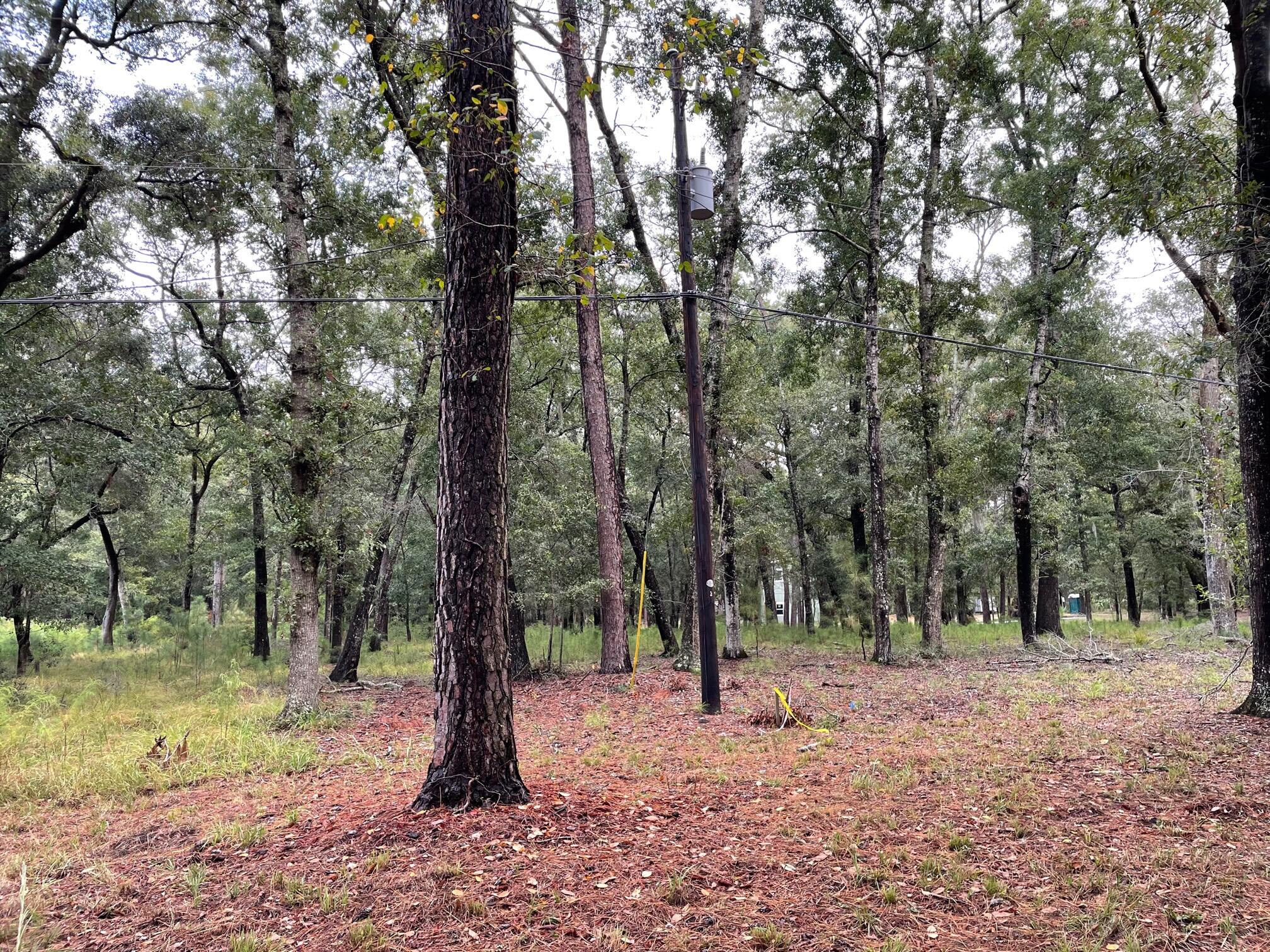 156 Palmetto Pointe Road Edisto Island, SC 29438 - Photo 1 of 15 IMG_6498
