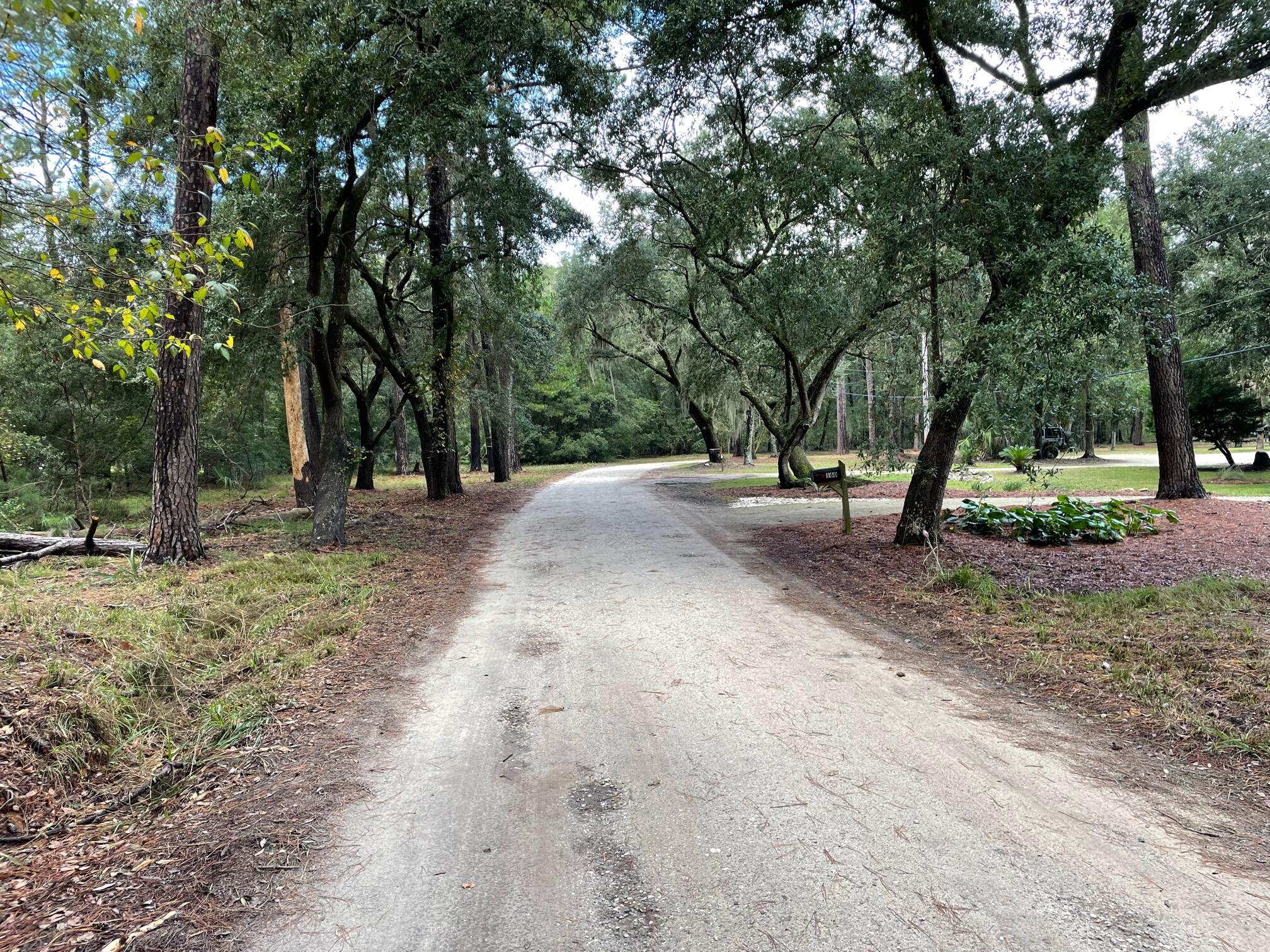 156 Palmetto Pointe Road Edisto Island, SC 29438 - Photo 2 of 15 IMG_6495