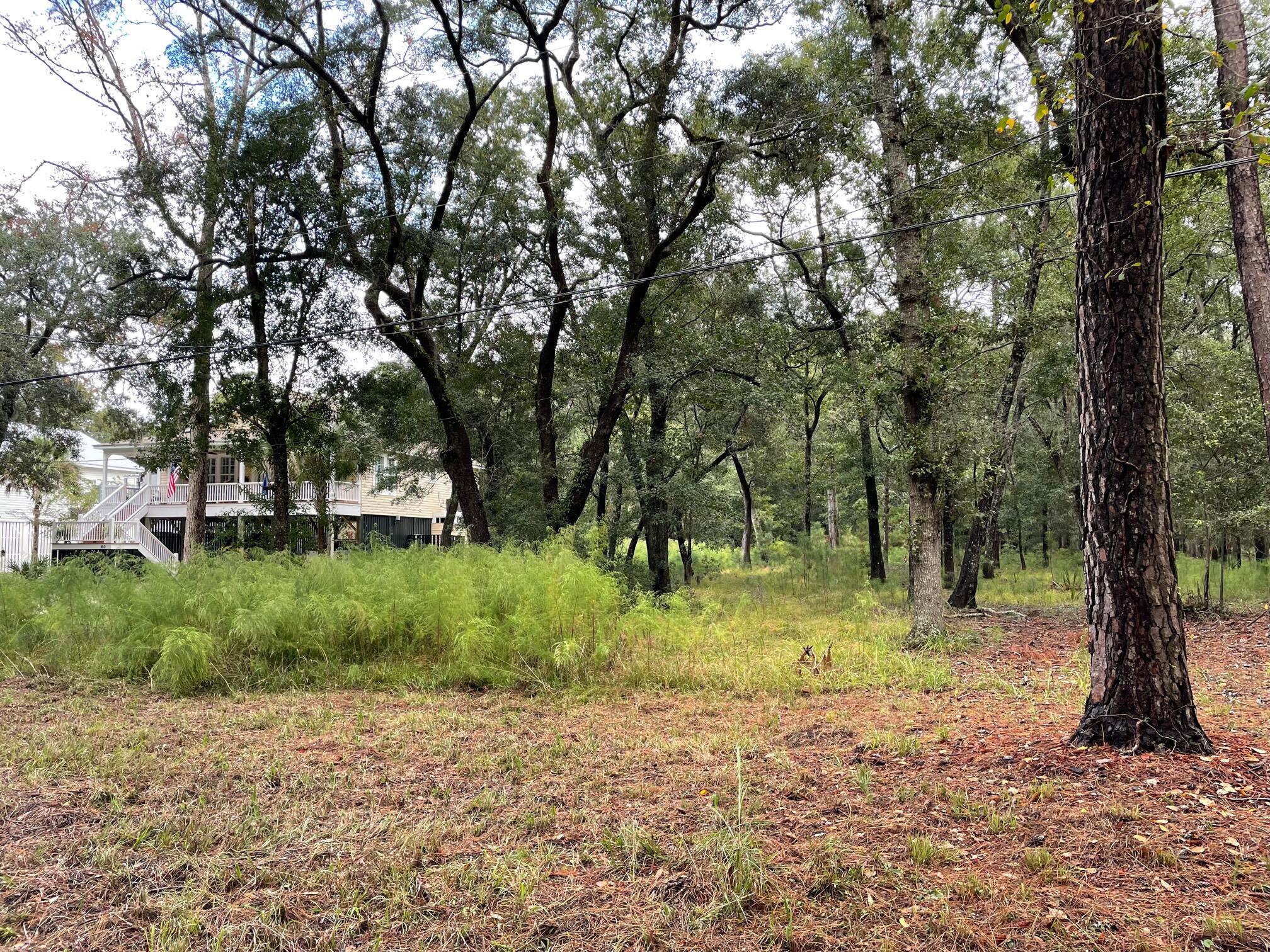 156 Palmetto Pointe Road Edisto Island, SC 29438 - Photo 6 of 15 IMG_6497