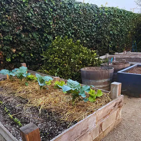 $10,995 | 347 Salida Del Sol, Santa Barbara, CA 93109